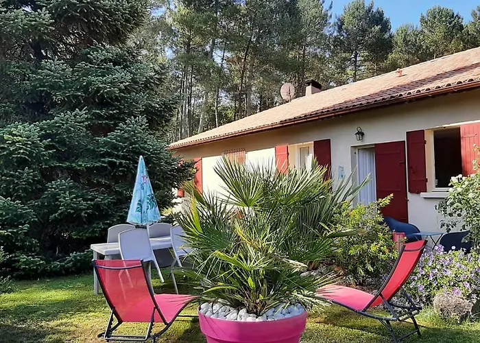 Gite Climatise L\'Oree Des Landes Proche Center Parcs