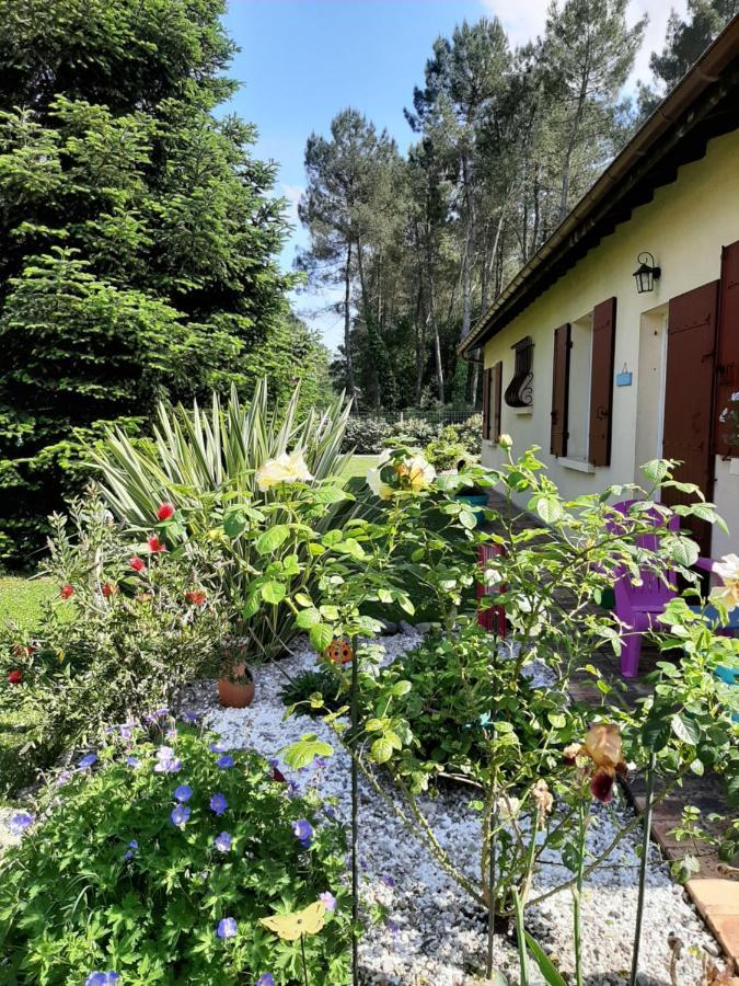 Climatise L'oree Des Landes Proche Center Parcs Pinderes
