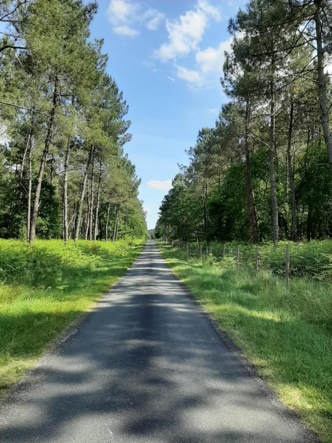 Holiday home Climatise L'oree Des Landes Proche Center Parcs Pinderes