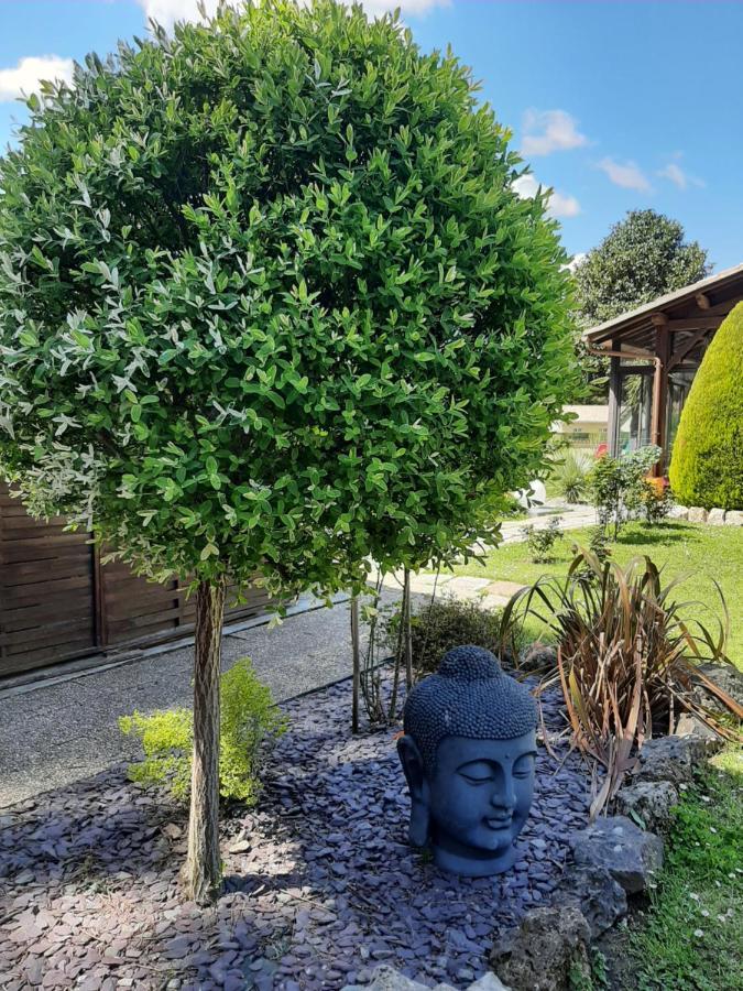 Climatise L'oree Des Landes Proche Center Parcs Holiday home Pinderes