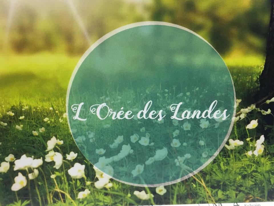 Holiday home Climatise L'oree Des Landes Proche Center Parcs Pinderes