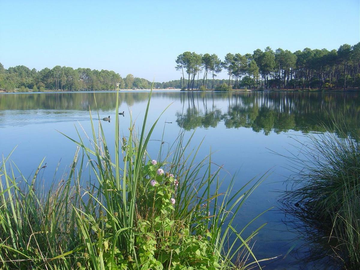 Climatise L'oree Des Landes Proche Center Parcs